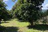 Land for sale in Huai Sak, Chiang Rai