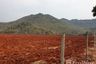 Land for sale in Chon Noi, Lopburi
