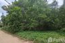 Land for sale in Chak Phong, Rayong