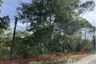 Land for sale in Bang Sai, Phang Nga