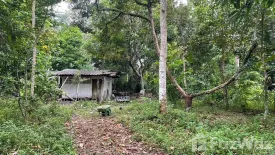 Land for sale in Khao Baisi, Chanthaburi