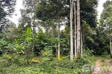 Land for sale in Khao Baisi, Chanthaburi