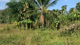 Land for sale in Na Sao, Loei