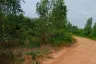Land for sale in Ban Lao, Chaiyaphum