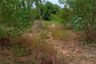 Land for sale in Ban Lao, Chaiyaphum
