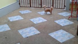 2 Bedroom Townhouse for sale in Tawana Village, Bang Kraso, Nonthaburi