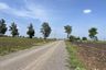 Land for sale in Dong Din Daeng, Lopburi