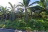 Land for sale in Lam Phi, Phang Nga