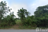 Land for sale in Nam Phu, Ratchaburi