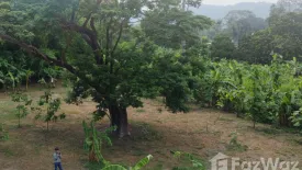 Land for sale in Sarika, Nakhon Nayok