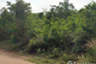 Land for sale in Nam Phu, Ratchaburi