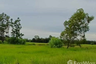 Land for sale in Don Chik, Ubon Ratchathani