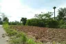 Land for sale in Pak Chong, Nakhon Ratchasima