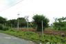 Land for sale in Pak Chong, Nakhon Ratchasima