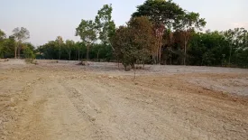 Land for sale in Phon Ngam, Ubon Ratchathani