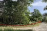 Land for sale in Bang Sai, Phang Nga