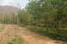 Land for sale in Chiang Klom, Loei