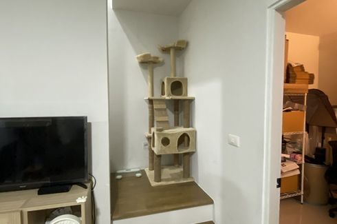 2 Bedroom Townhouse for rent in Pleno Rangsit, Ban Klang, Pathum Thani