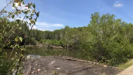 Land for sale in Bang Phra, Nakhon Si Thammarat