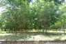 Land for sale in Nong Phrong, Prachin Buri