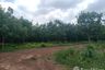 Land for sale in Nong Phrong, Prachin Buri