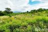Land for sale in Mu Si, Nakhon Ratchasima