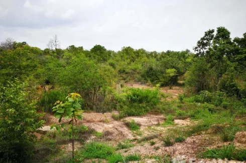 Land for sale in Pho Sai, Ubon Ratchathani