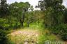 Land for sale in Pho Sai, Ubon Ratchathani