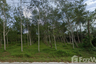 Land for sale in Na San, Nakhon Si Thammarat