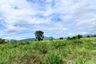 Land for sale in Rang Sali, Kanchanaburi