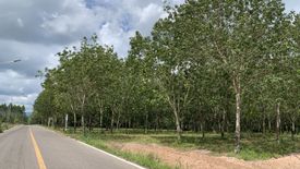 Land for sale in Nong Ki, Prachin Buri