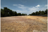 Land for sale in Ban Lueam, Udon Thani
