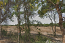 Land for sale in Khok Mai Lai, Prachin Buri