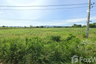 Land for sale in Nong Ri, Kanchanaburi