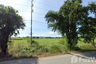 Land for sale in Nong Ri, Kanchanaburi
