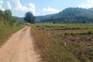 Land for sale in Huai Sak, Chiang Rai