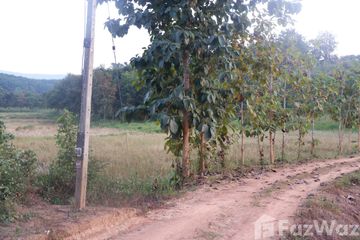 Land for sale in Huai Sak, Chiang Rai
