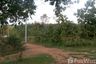 Land for sale in Huai Sak, Chiang Rai