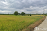 Land for sale in Don Ya Nang, Phra Nakhon Si Ayutthaya
