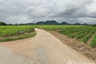 Land for sale in Si Mongkhon, Kanchanaburi