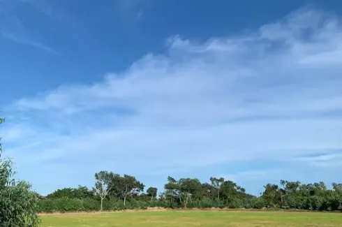 Land for sale in Mueang Tao, Maha Sarakham