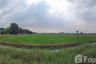 Land for sale in Naraphirom, Nakhon Pathom