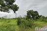 Land for sale in Ongkharak, Nakhon Nayok
