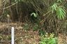 Land for sale in Bang Nai Si, Phang Nga