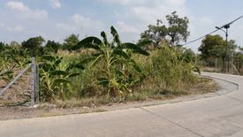 Land for sale in Bang Luang, Pathum Thani