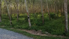 Land for sale in Nang Long, Nakhon Si Thammarat