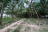 Land for sale in Nam Khok, Rayong
