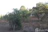 Land for sale in Si Dong Yen, Chiang Mai