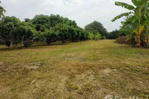 Land for sale in Rop Wiang, Chiang Rai