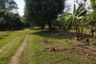 Land for sale in Rop Wiang, Chiang Rai